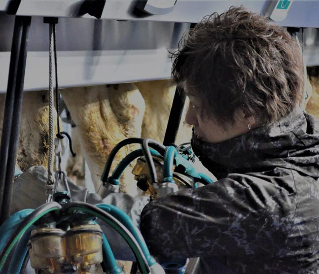 先輩スタッフの声